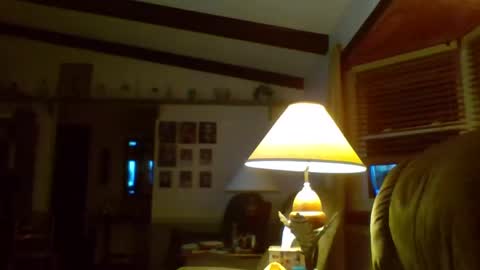 aguynrkfrd online show from 2, 1, 2025