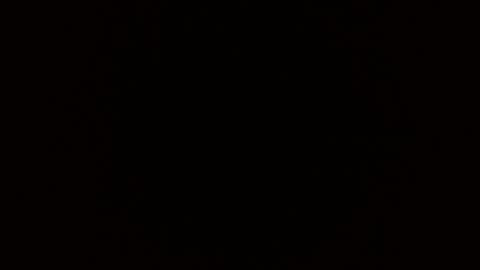 Blue Eyed Handsome Man online show from 27, 2, 2026