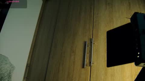 Snapshot of aidaadams chatting on 19, 11, 2025 Aida online show from 19, 11, 2025