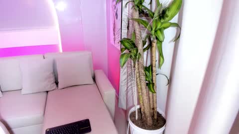   online show from 18, 12, 2025