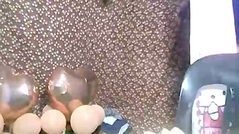 rosie online show from 3, 2, 2025