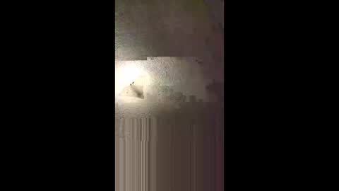 Snapshot of aj297914 chatting on 8, 2, 2026 aj297914 online show from 8, 2, 2026