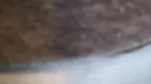 Snapshot of aj297914 chatting on 17, 2, 2026 aj297914 online show from 17, 2, 2026