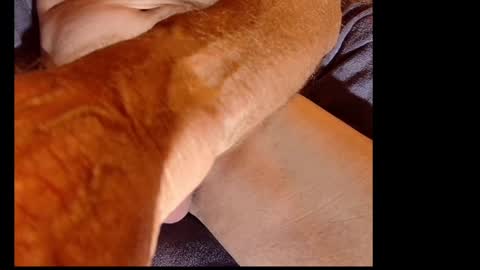 Snapshot of akiwi2 chatting on 20, 12, 2024 akiwi2 online show from 20, 12, 2024