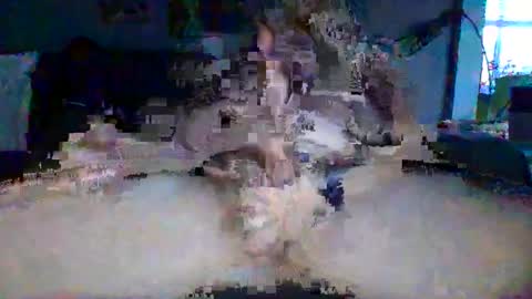 akpchi1984 online show from 16, 3, 2026