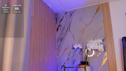   Schedule 700a.m - 200p.m Col hour online show from 12, 11, 2025