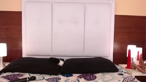 Snapshot of alanagh_ chatting on 25, 10, 2025 alana online show from 25, 10, 2025