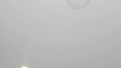 Snapshot of alanna_hank chatting on 23, 3, 2026 Alanna online show from 23, 3, 2026