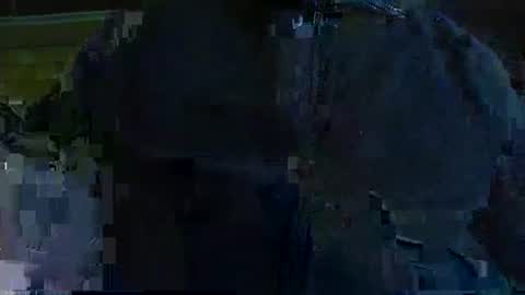 albert29 online show from 3, 11, 2025