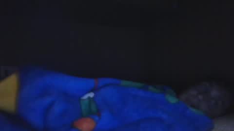 Snapshot of aledewalt chatting on 4, 12, 2024 call me on skp alexdewalt online show from 4, 12, 2024