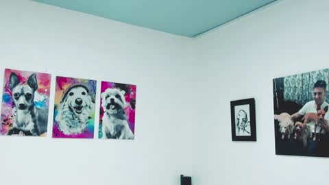 Alejandra online show from 27, 12, 2024