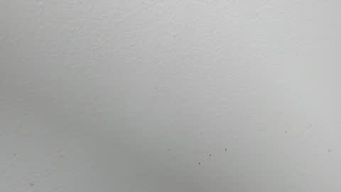 Snapshot of alejandra_dunn chatting on 14, 11, 2025 Alejandra online show from 14, 11, 2025