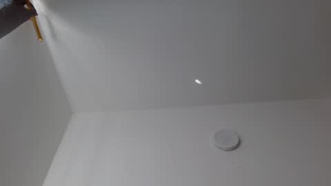 Snapshot of alejo_hot23 chatting on 7, 12, 2024 David online show from 7, 12, 2024