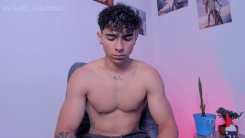 x   online show from 13, 11, 2025