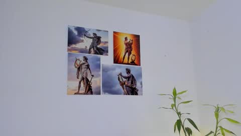 x   online show from 11, 3, 2026