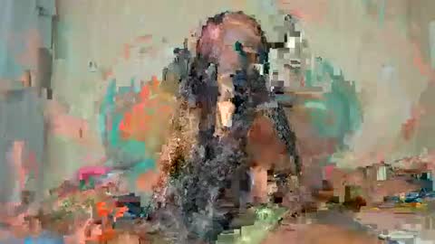 Alexa online show from 15, 1, 2026