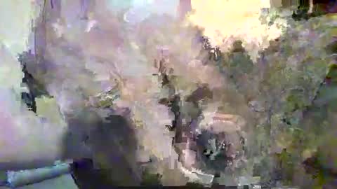 Alex online show from 12, 11, 2025