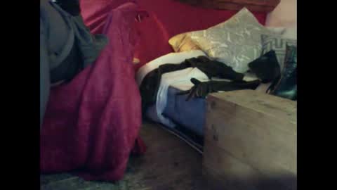 alexischat online show from 25, 9, 2025