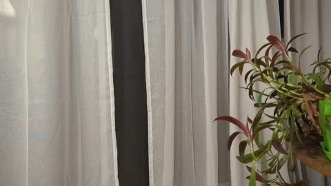 ali500886 online show from 30, 3, 2026