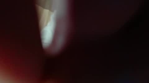 Snapshot of alice_peach chatting on 8, 11, 2025 bigclit daddy squirt bigdildo fit online show from 8, 11, 2025