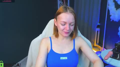 Cat online show from 4, 10, 2025