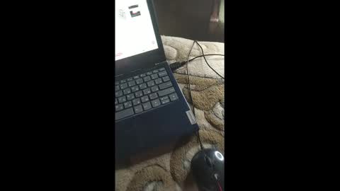 alicia_sage online show from 8, 12, 2024