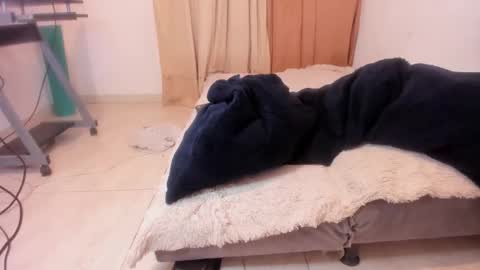 Alis 3 independent model 3 online show from 7, 2, 2025