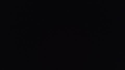     online show from 3, 12, 2025