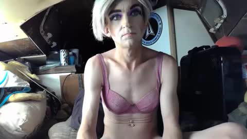 Alisha online show from 11, 1, 2025