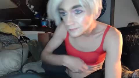 Alisha online show from 15, 1, 2025