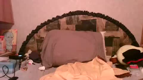 Alisha online show from 2, 11, 2025