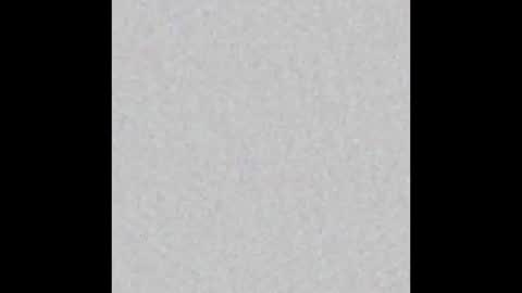 Ali online show from 28, 3, 2026