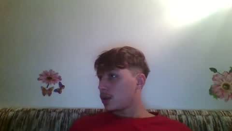 alldickshere online show from 4, 10, 2025