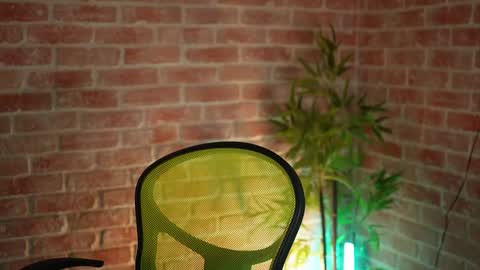 Snapshot of alliesynns chatting on 23, 12, 2024 Allie online show from 23, 12, 2024