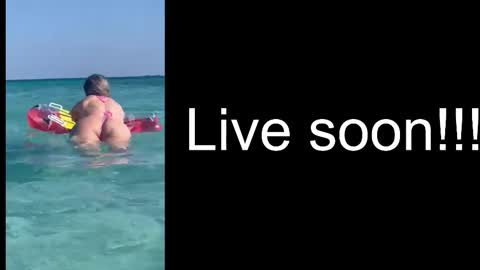 Snapshot of alliesynns chatting on 2, 11, 2025 Allie online show from 2, 11, 2025