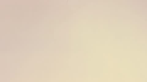    online show from 1, 12, 2025