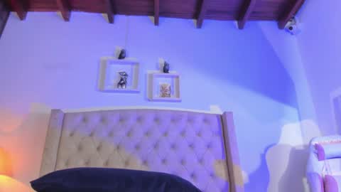 allisson online show from 17, 12, 2024