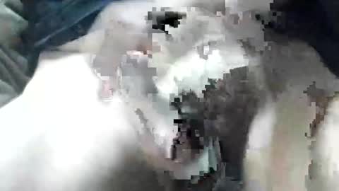 allways395 online show from 28, 9, 2025