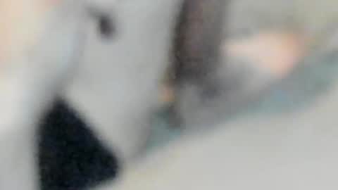 allways395 online show from 25, 10, 2025