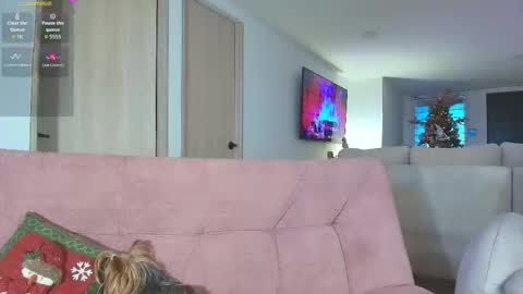 Snapshot of allysonswwan17 chatting on 7, 11, 2025 Ally online show from 7, 11, 2025