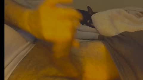 Snapshot of alphablue_wolf1295 chatting on 2, 1, 2025 alphablue_wolf1295 online show from 2, 1, 2025