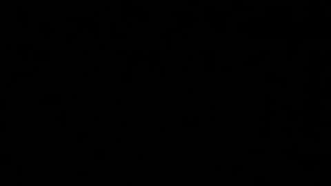 Snapshot of alphakittyxxx chatting on 29, 1, 2025 Shelby or if you want to make me purr just call me Kitten online show from 29, 1, 2025