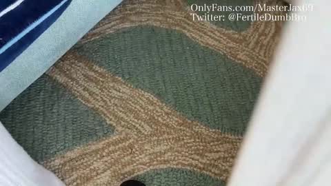 Snapshot of alphamasterjax chatting on 27, 10, 2025 MasterJax69 online show from 27, 10, 2025