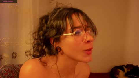 . .  online show from 19, 12, 2024