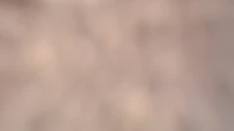 valentia online show from 6, 3, 2026