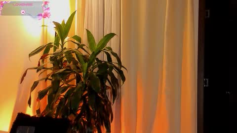 Snapshot of amatistahot1 chatting on 11, 10, 2025 Amatista online show from 11, 10, 2025