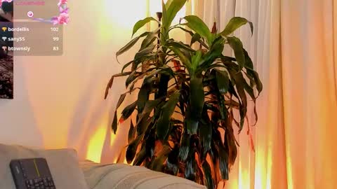 Snapshot of amatistahot1 chatting on 1, 11, 2025 Amatista online show from 1, 11, 2025