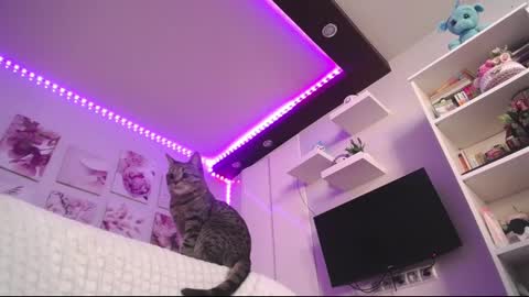 Snapshot of amazing_agness chatting on 23, 2, 2025 amazing_agness online show from 23, 2, 2025