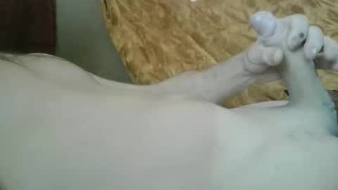 Snapshot of amazingcuteboy845 chatting on 19, 9, 2025 amazingcuteboy845 online show from 19, 9, 2025