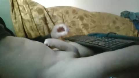 Snapshot of amazingcuteboy845 chatting on 29, 9, 2025 amazingcuteboy845 online show from 29, 9, 2025